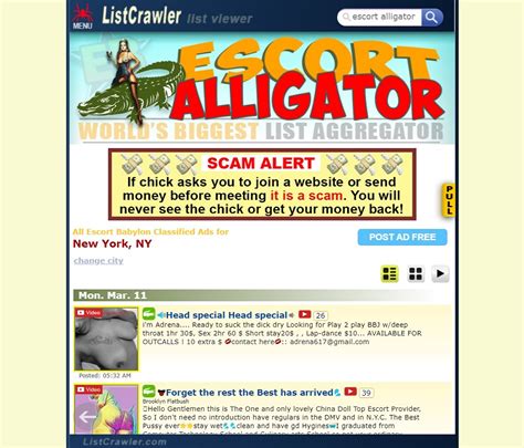 alligator crawler site